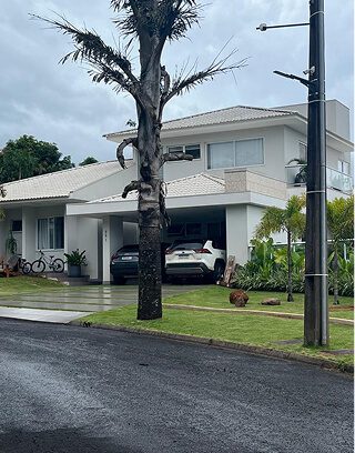 WhatsApp Image 2026-01-12 at 14.59.01